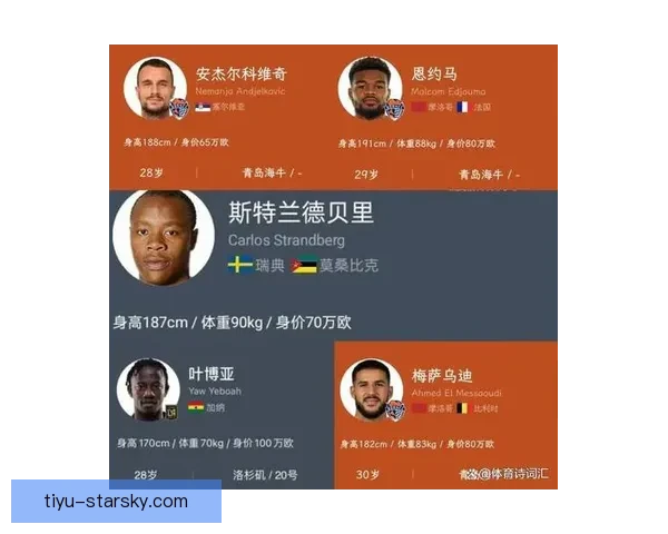 官宣海牛连宣恩约马梅萨乌迪